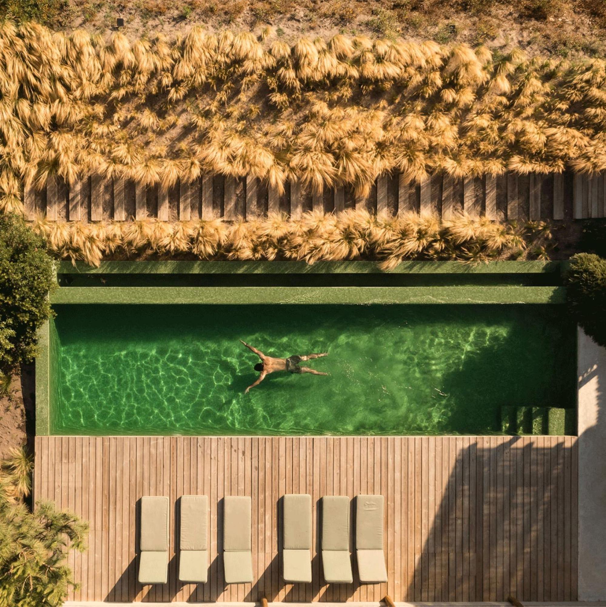 Vila Flor De Arroz Carvalhal  Exteriér fotografie