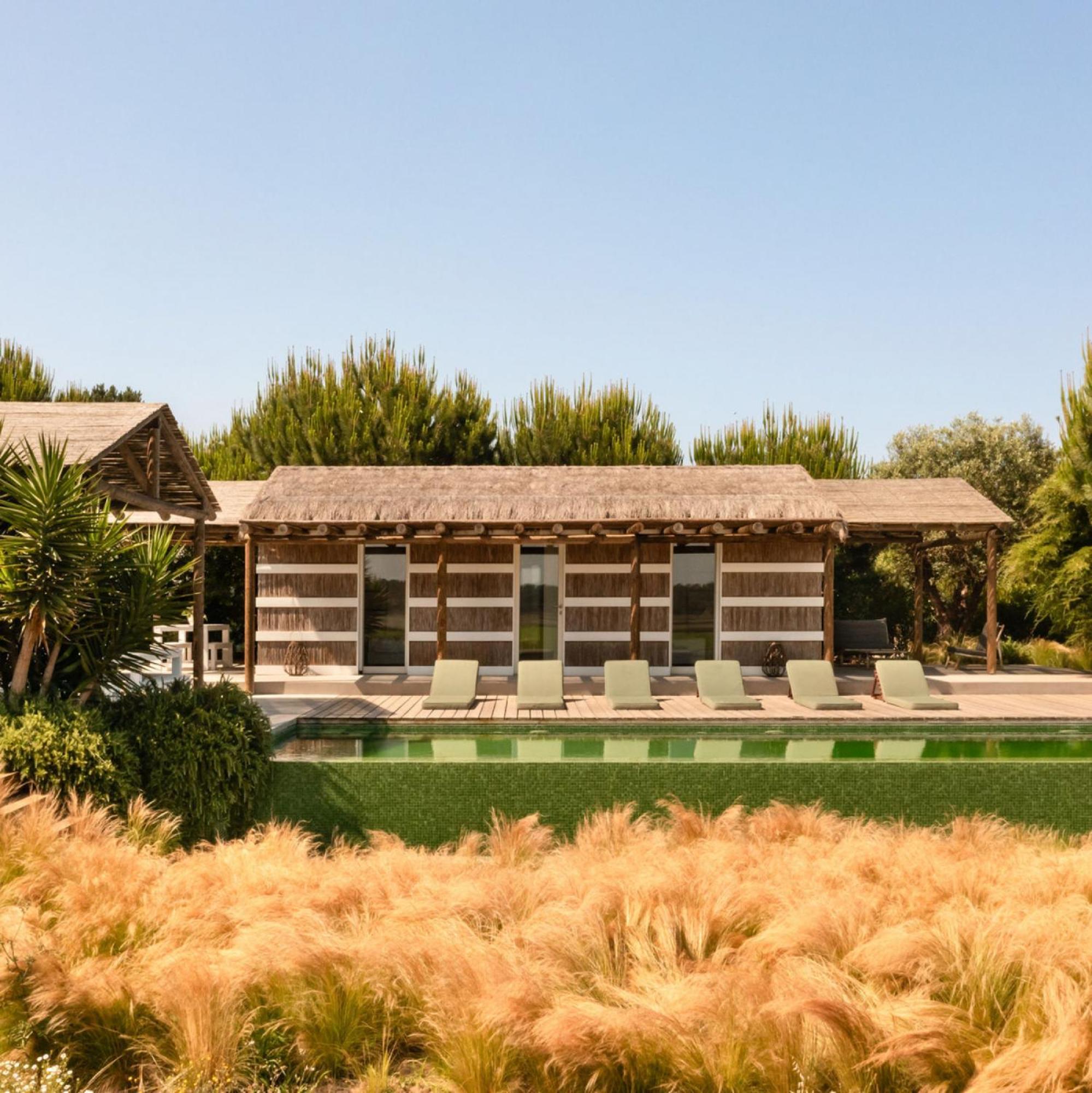 Vila Flor De Arroz Carvalhal  Exteriér fotografie